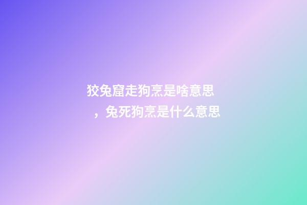 狡兔窟走狗烹是啥意思，兔死狗烹是什么意思